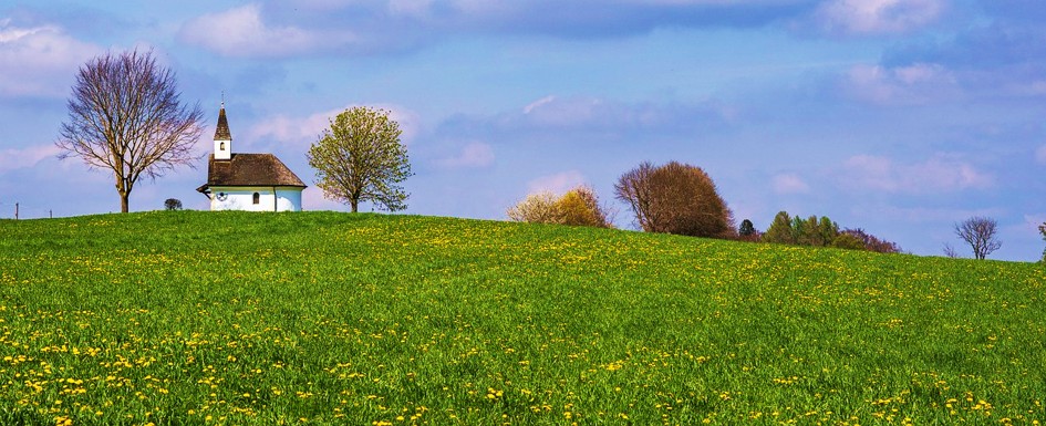 Ein Bild von ...